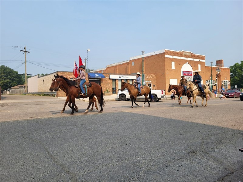 Parade Horses